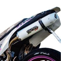 Exhaust compatible with Ktm Duke II 2000-2006, Albus Ceramic, Dual slip-on including removable db killers and link pipes, EPA-compliant 