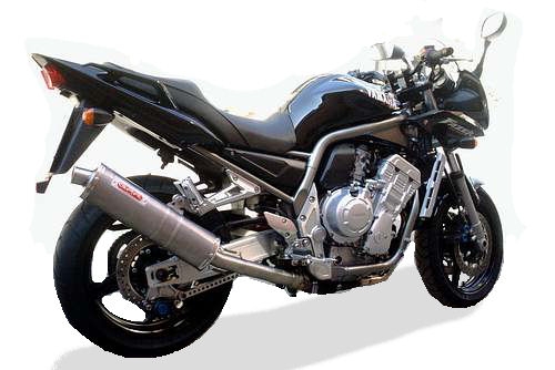 Exhaust compatible with Yamaha Fzs 1000 Fazer 2001-2005, Albus Ceramic, Slip-on exhaust including removable db killer and link pipe, EPA-compliant 