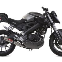 Exhaust compatible with Yamaha Mt 125 2017-2019, Deeptone Inox, Slip-on exhaust including link pipe and removable db killer 
