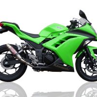 Exhaust compatible with Kawasaki Ninja 300R 2012-2017, Deeptone Inox, Slip-on exhaust including removable db killer and link pipe, EPA-compliant 