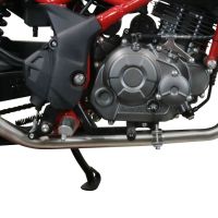 Exhaust compatible with Benelli Bn 125 2021-2024, Furore Evo4 Poppy, Full system exhaust, including removable db killer 