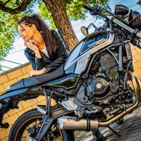 Exhaust compatible with Kawasaki Z650RS 2021-2023, Satinox, Full system exhaust, including removable db killer 