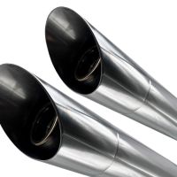 Exhaust compatible with Harley Davidson Sportster 1200 2010-2018, Slash Inox, Dual slip-on including removable db killers and link pipes, EPA-compliant 