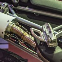 Exhaust compatible with Triumph Tiger 900 2020-2023, Albus Evo4, Slip-on exhaust including removable db killer and link pipe, EPA-compliant 